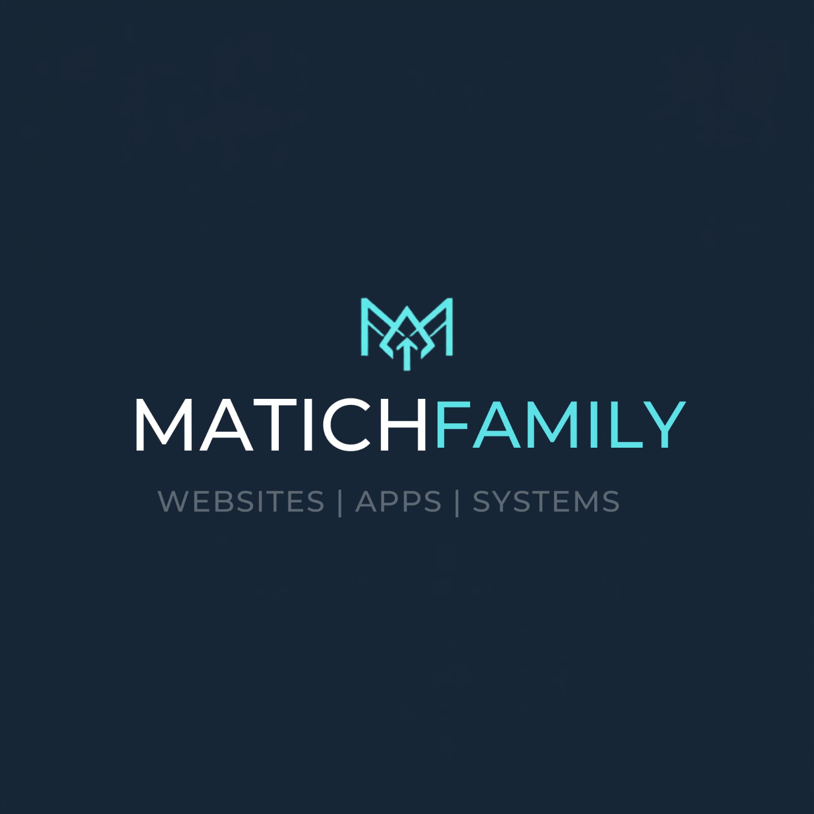 matichsfamily brands